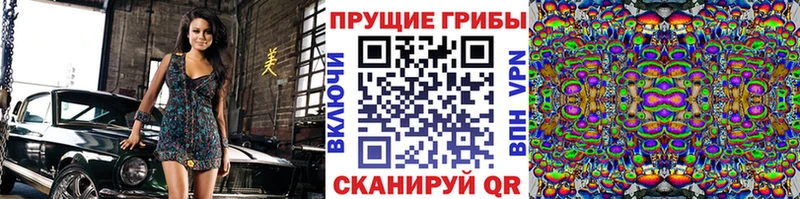 дарнет шоп  Шарья  Псилоцибиновые грибы мицелий 